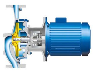 Circula pump